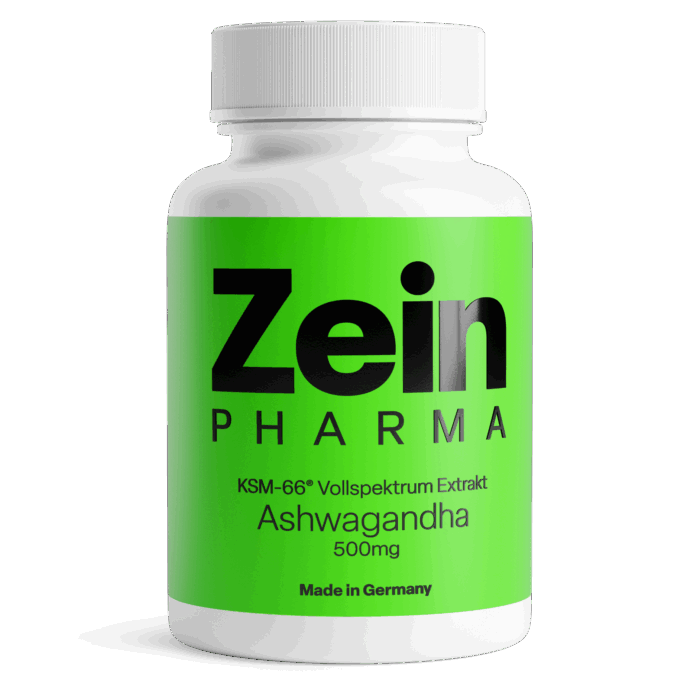 Ashwagandha 500mg KSM-66® (60 cápsulas)