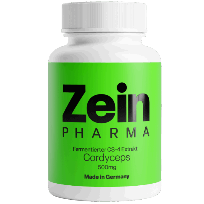 Cordyceps CS-4 500mg (120 cápsulas)