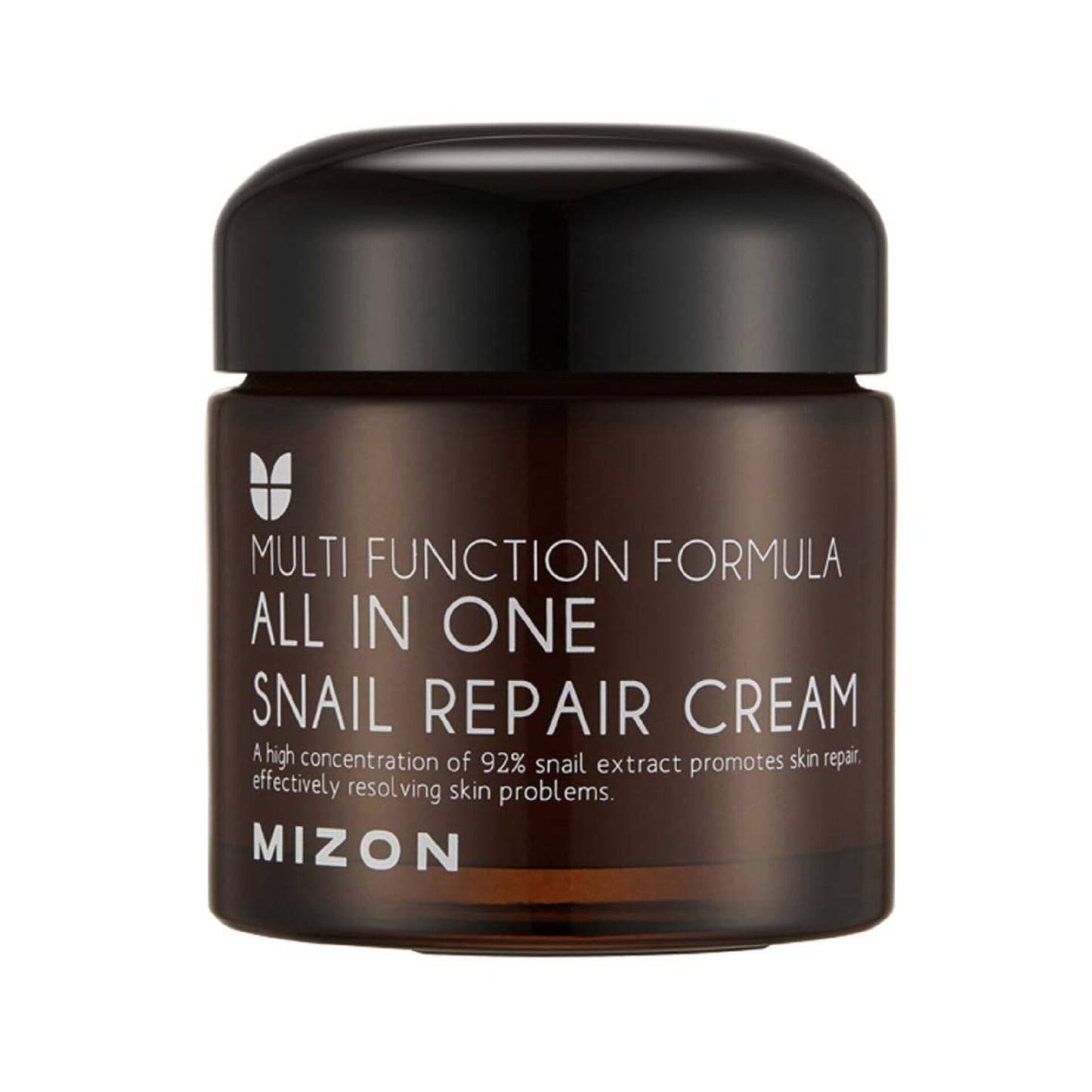 All In One Snail Repair Cream 75ml